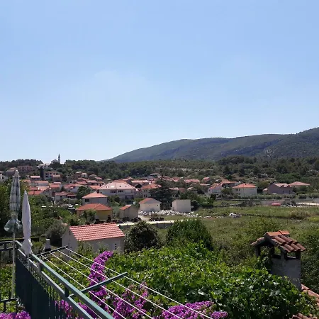 Gambo * Jelsa (Hvar)