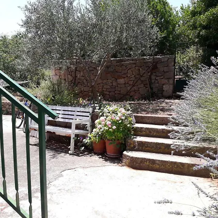 Gambo Jelsa (Hvar)